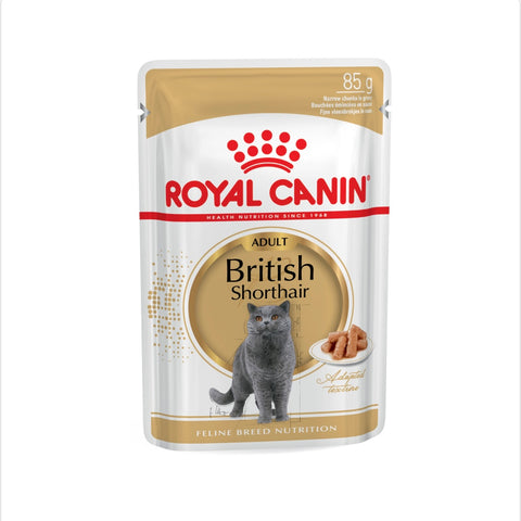 Royal Canin British Shorthair In Gravy Adult Over 12 Months Pouches Wet Cat Food 85gm x 12