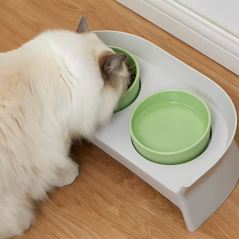 PAKEWAY Double Plastic Green Feeding Bowls with Grey Rack