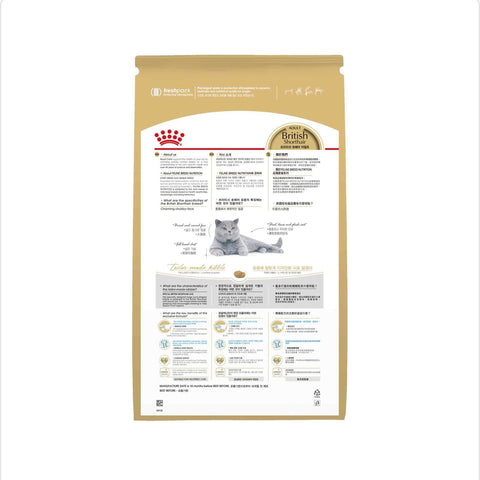 Royal Canin British Shorthair Adult Dry Cat Food 10kg