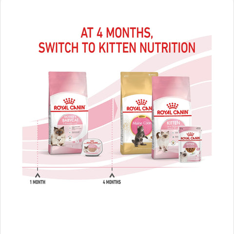 Royal Canin Mother And Babycat Dry Cat Food 2kg/10kg