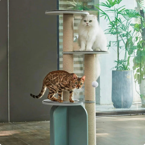 Michu Vigour Party Cat Tree, Modern Lifestyle Cat Furniture - Arrive within 3 weeks