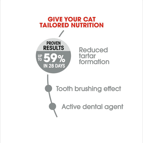 Royal Canin Oral Care Adult Dry Cat Food 8kg