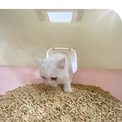 Iris Extra-Large Fully Enclosed Cat Litter Box with Scoop