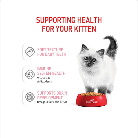 Royal Canin Kitten Chunks In Jelly Pouches Wet Cat Food 85gm x 12