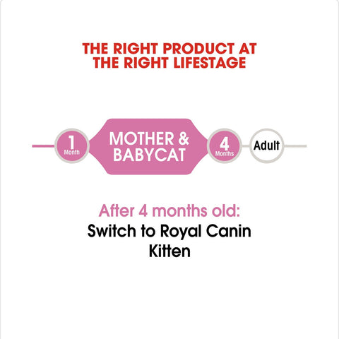 Royal Canin Babycat Instinctive Wet Cat Food 195gm/195gm x 12