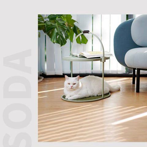 Makesure Multi-functional Soda Cat Scratching Post