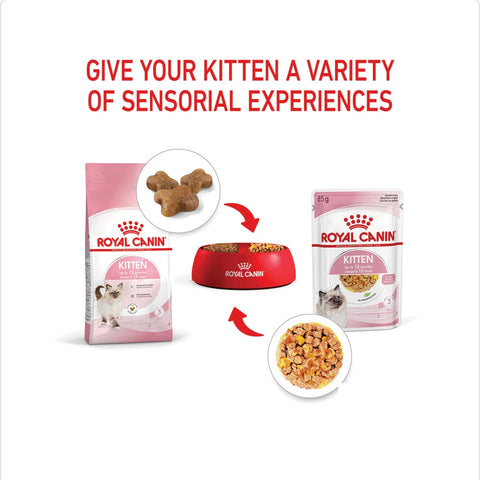 Royal Canin Kitten Chunks In Jelly Pouches Wet Cat Food 85gm x 12