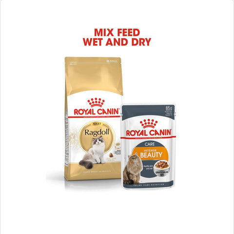 Royal Canin Ragdoll Adult Dry Cat Food 10kg