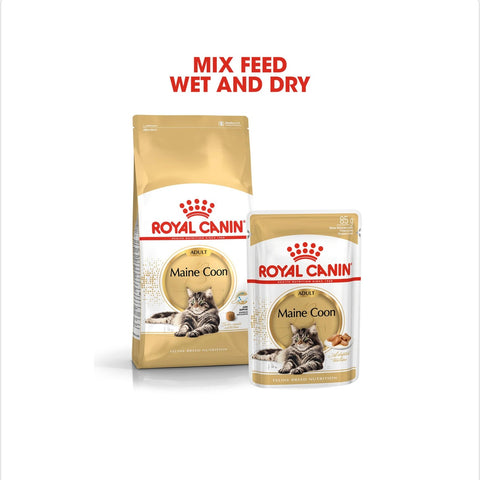 Royal Canin Maine Coon Adult Dry Cat Food 10kg