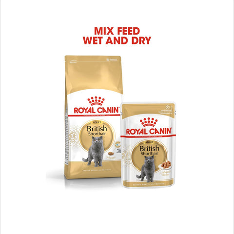 Royal Canin British Shorthair Adult Dry Cat Food 10kg