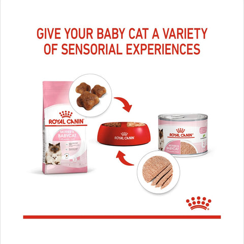 Royal Canin Babycat Instinctive Wet Cat Food 195gm/195gm x 12