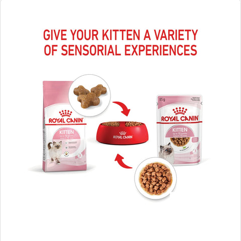 Royal Canin Kitten Chunks In Gravy Pouches Wet Cat Food 85gm x 12