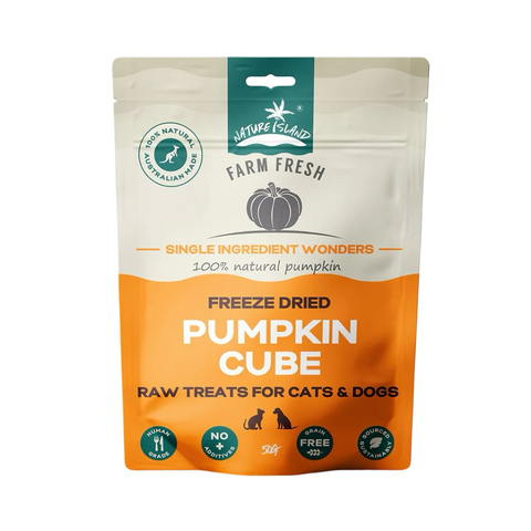 Freeze Dried Pumpkin Cube treats 50g