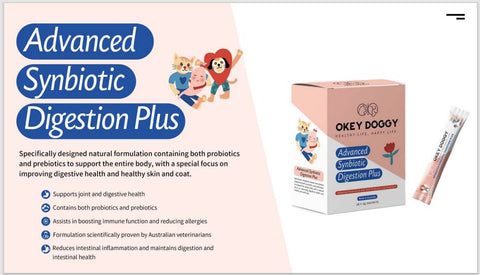 OKEY DOGGY Advanced Synbiotic Digestion Plus For Cats & Dogs 3gx30Sachets