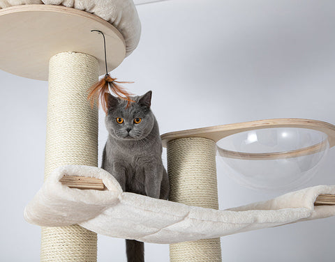 HONEYPOT CAT® Solid Wood Cat Tree 189cm #2501pro - Arrive within 3 weeks