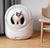 Self-Cleaning Cat Litter Box